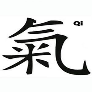 Qi Bodywork: Essentials for Energetic Massage (Live Course)