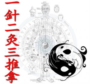 Muscle Meridian Massage Seminar (Live Course)