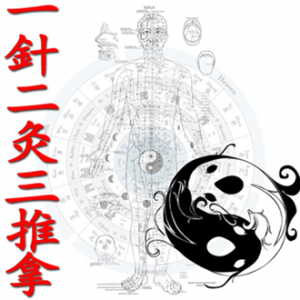 Muscle Meridian Massage Seminar (Live Course)